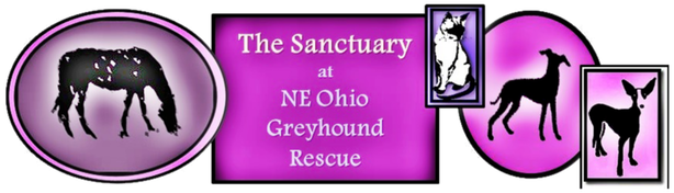 NE Ohio Greyhound Rescue